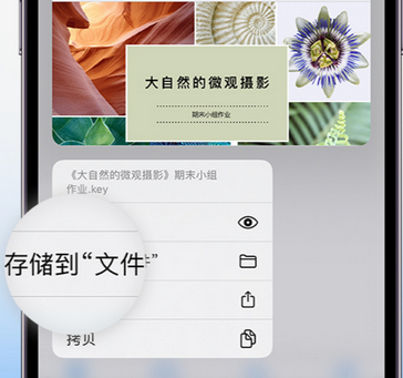 中牟apple维修中心分享iPhone文件应用中存储和找到下载文件