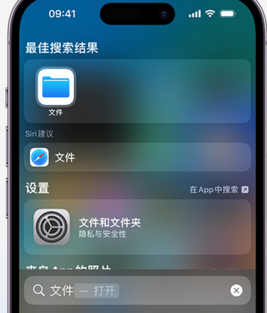 中牟apple维修中心分享iPhone文件应用中存储和找到下载文件