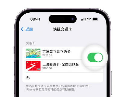 中牟apple维修点分享iPhone上更换Apple Pay快捷交通卡手绘卡面 