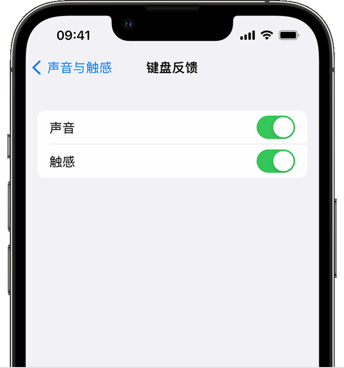 中牟苹果14维修店分享如何在 iPhone 14 机型中使用触感键盘 