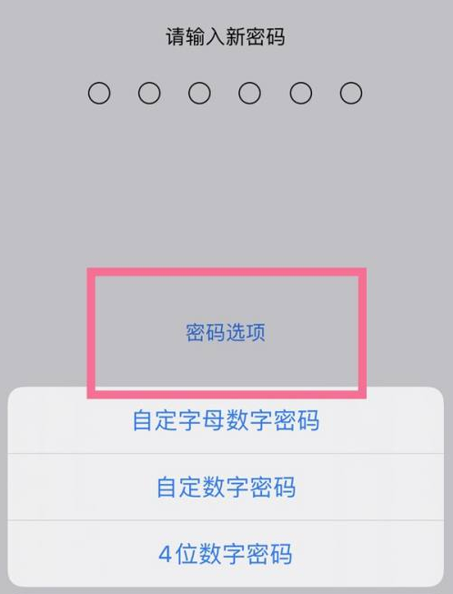 中牟苹果14维修分享iPhone 14plus设置密码的方法 