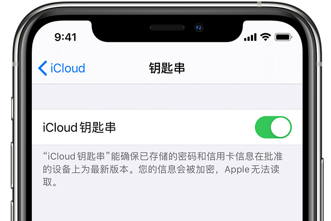 中牟苹果手机维修分享在 iPhone 上开启 iCloud 钥匙串之后会储存哪些信息 